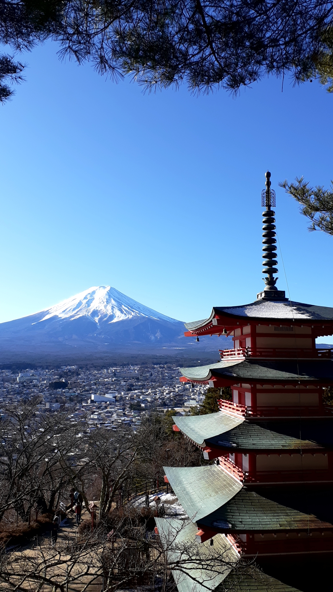二重スリット実験は、20世紀科学における最も革新的かつ根本的な発見の一つ