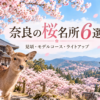 奈良の桜名所6選｜見頃・モデルコース・ライトアップ・写真スポット完全ガイド【保存版】